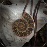 handmade fossiler ammonit schmuck anhänger aus madagaskar naturbelassen kupfer mit lederband fossiler schmuck stein anhänger ammonit naturstein schmuck von wonderworks 100 millionen jahre alt