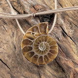 handmade fossiler ammonit schmuck anhänger aus madagaskar naturbelassen mit schmuckkordel fossiler schmuck stein anhänger ammonit naturstein schmuck von wonderworks 100 millionen jahre alt