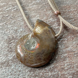 Ammonit mit Schmuckkordel