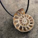 handmade fossiler ammonit schmuck anhänger aus madagaskar naturbelassen mit lederband fossiler schmuck stein anhänger ammonit naturstein schmuck von wonderworks 100 millionen jahre alt