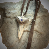 handmade fossiler Isurus hastalis (Mako-Hai) mit 3mm Iolith prähistorischer anhänger von Belgien naturbelassen mit lederband fossil und extinkt schmuck stein anhänger fossiler schmuck von wonderworks  ca. 5 Mil Jahre alt, haizahn mit lederband