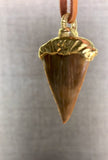 handmade fossiler haizahn prähistorischer haizahn Otodus obliquus aus marokko naturbelassen vergoldet mit lederband fossil und extinkt schmuck stein anhänger fossiler schmuck von wonderworks haizahn mit lederband